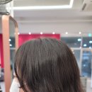 다비드 헤어