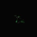 대전컨벤션센터 이미지