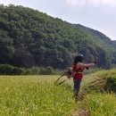 흙내음풀내음 이미지