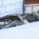 낙지박사 이미지