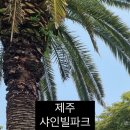 리버그늘집