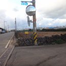 오설록 교차로 이미지