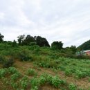 복수면사무소 이미지