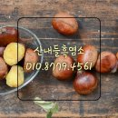 산내들팜 | 특왕밤 가격 생율밤가격 명절준비 생률은 농장직송으로!