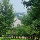 신월동169 이미지