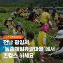 봉강농촌체험휴양마을 네이버블로그