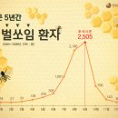 다가온 벌초 시기, `벌 쏘임`에 주의하세요! 이미지