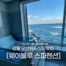 웨이블루 | [강릉 숙소] 내돈내산 강릉 오션뷰 숙소 추천 ! 강릉 웨이블루스파 펜션 후기 🌊✨
