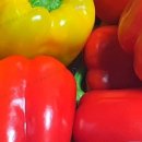 성남농장 이미지