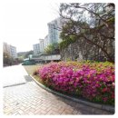세븐일레븐 강남대원룸센터점 | 52평형 법원경매추천물건 기흥구아파트경매 코오롱하늘채수1단지아파트,강남대 인근/부자꿈경매 리치드림