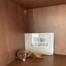 대평할머니 이미지