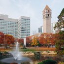 세종대학교 이미지