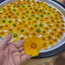 오라꽃차공방