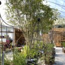 주암동농장 이미지