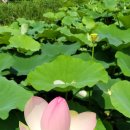 철마공원 이미지