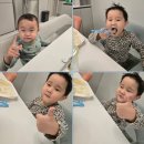 도도블리 이미지