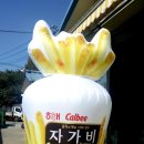 자가비판촉