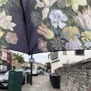 올리브안경갤러리 이미지