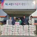 고성군 3 이미지