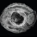 탄현로327번길 이미지