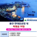 울산 현대중공업 조선소 족장공 모집 (초보가능/동반근무가능/기숙사지원) 월 250~300 이미지