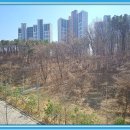 운정금강공인중개사사무소 이미지