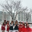 파이브 카카오 검색결과