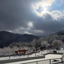 우다다애견 | 프라이빗 마운틴뷰 대형수영장 자연 속 힐링, 우다다 애견펜션 후기