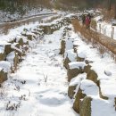 숲속의맑은향기 이미지