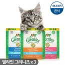 필라인 이미지