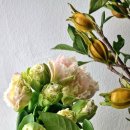 백조농장(2) 이미지