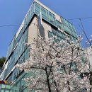 새삶스레 그린그린컴퍼니 이미지