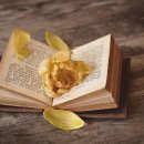 [자격증 취득과정] 독서지도사(2) 이미지