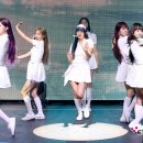 포토시그니처 전자신문