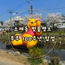 대동잡화 | 소제동 푸우 100주년 팝업스토어 애견동반 소제동 벚꽃명소 대전 벚꽃 명소 아트사이트 소제 푸우...