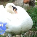 고니농장 이미지