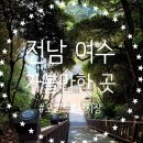 여수동백떡집 | 여수여행정보, 오동도 걷고 서시장 떡집가고 콩국수먹기