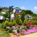 꿈꾸는 펜션 이미지