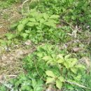 천지인농장 이미지