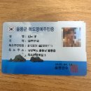 개릉도원 | 울릉도 여행 취소후기(눈물광광)