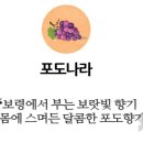 녹수청산가든 이미지