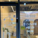 동그리아 | 평택 소사벌 애견미용 잘하는 곳 추천 탄산나노스파 사용하는 동그리아 애견미용후기