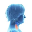 황승욱K유외과의원 | 대구 갑상선 작은 암의 경우 수술을 안해도 될까요?