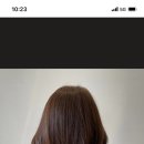 오브데이자르다
