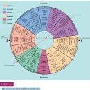 10가지 personality disorder와 에니어그램 의식수준의 연관성 이미지