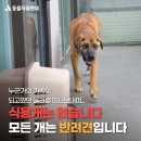 다정한농장 네이버블로그