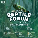 네스트렙타일 - 서대문구 통일로39가길 2 | [네스트] 렙타일포럼 in 일산 참가후기 (Ft.파충류 처돌이 네사장)