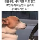 이광수생고기집 | 2025년 10월 추석연휴