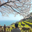 바닷길 풍경 | 남해 다랭이마을로 여행을 꼭 가야하는 이유 + 다랭이맛집 내돈내산 후기