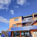 민경애견 이미지